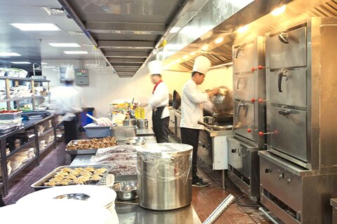 Commercial kitchen pest control EAST BAY